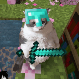Divyfyplayz PFP